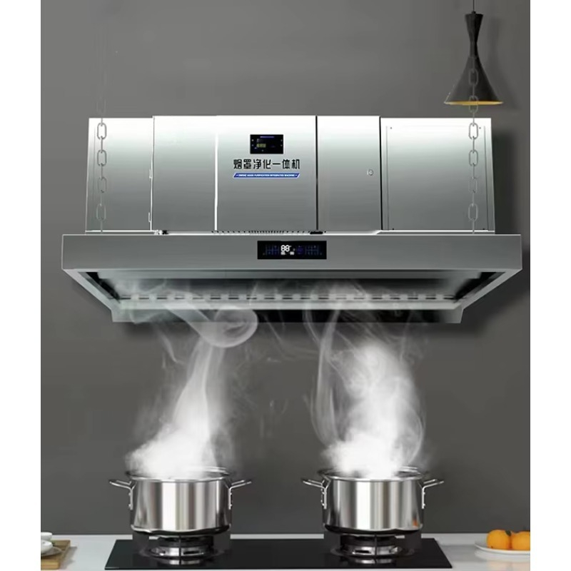 Customized Built in Electrosta - Commercial Kitchen Hoods review and price